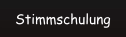 Stimmschulung