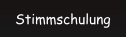 Stimmschulung